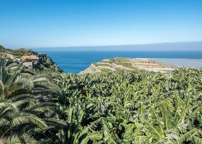 Finca Alejandrina
